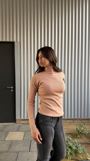 Turtle Neck Top